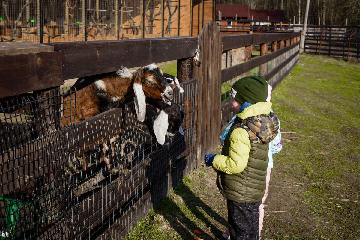 фото — База отдыха «Бородинское»