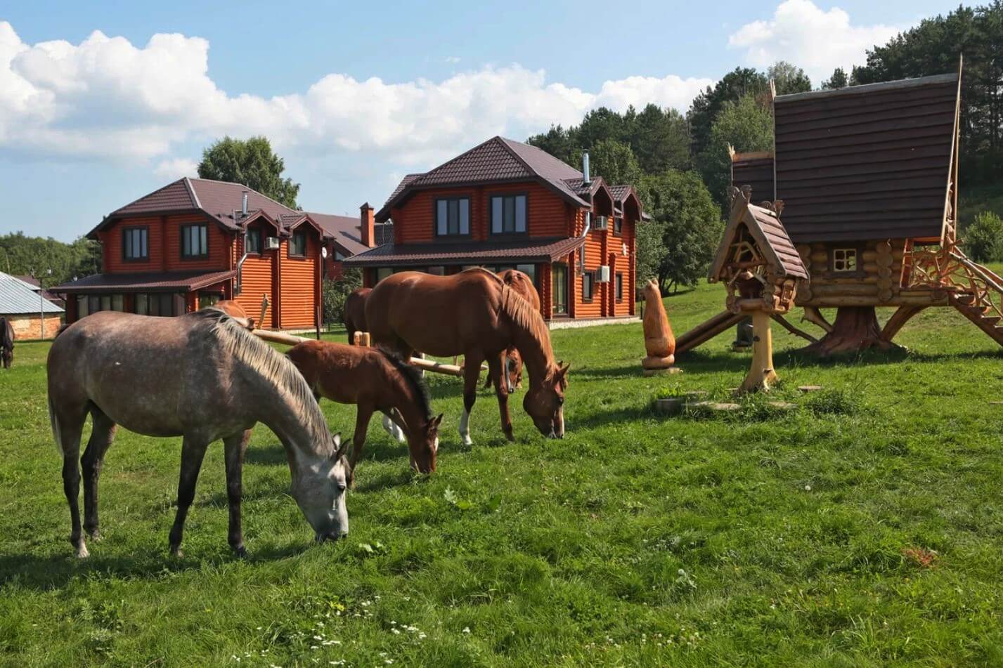 фото — Загородный клуб «Свияга»