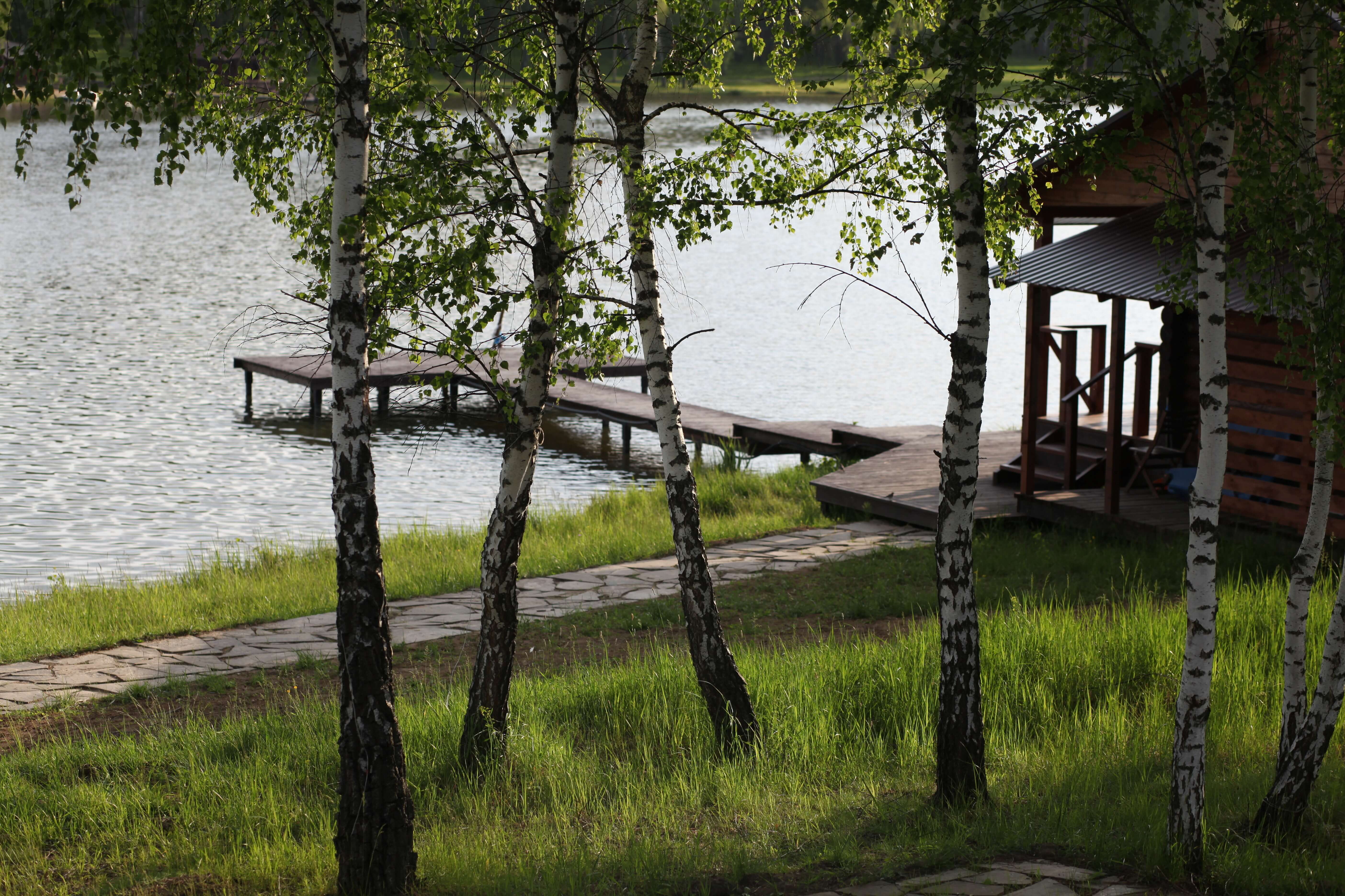фото — Green Village Resort